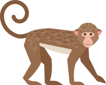 Monkey vector
